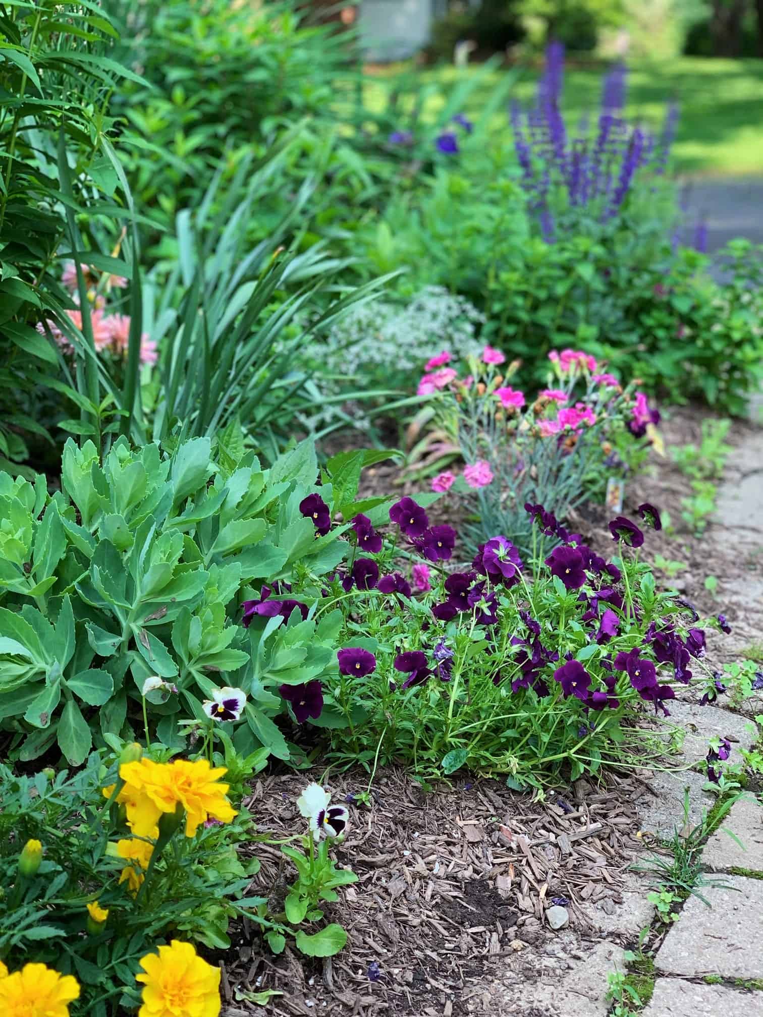 Flower Garden Ideas