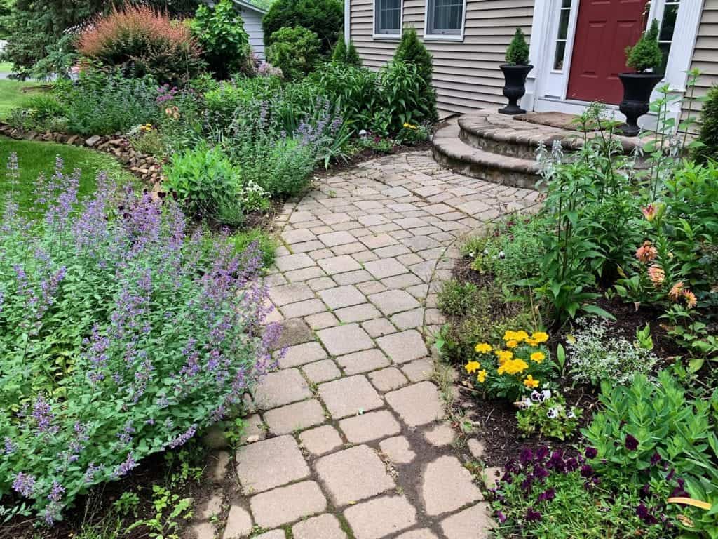 front walkway with flowering plants that attract hummingbirds