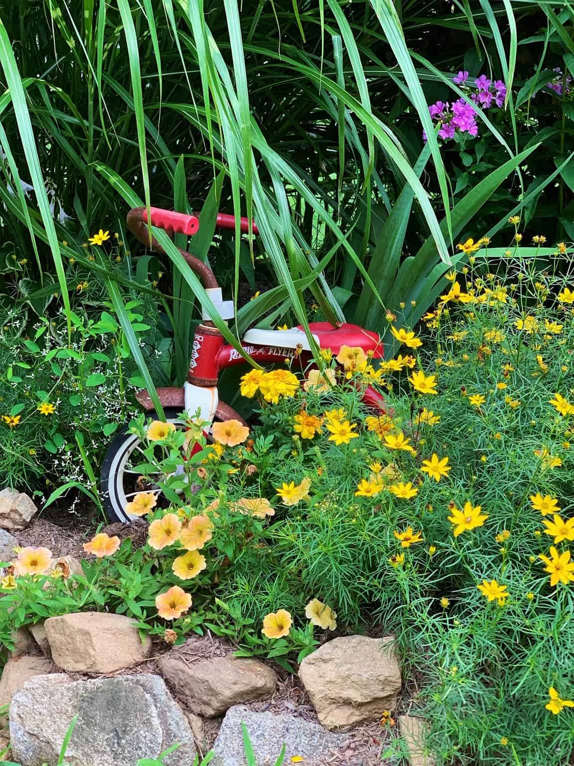 A vintage Radio Flyer tricycle in red and white is partially hidden among tall green grass, yellow and peach flowers, and purple blooms, with rocks lining a garden bed in the foreground.