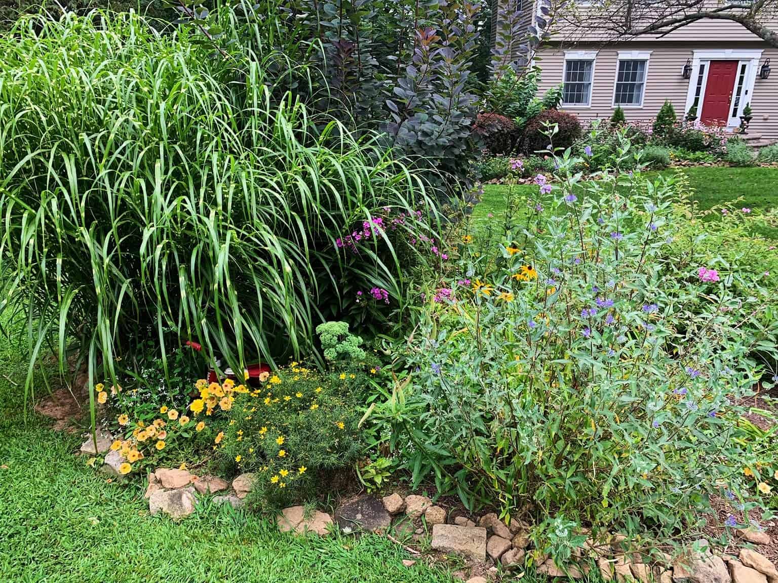 late summer flower garden ready for a spruce up
