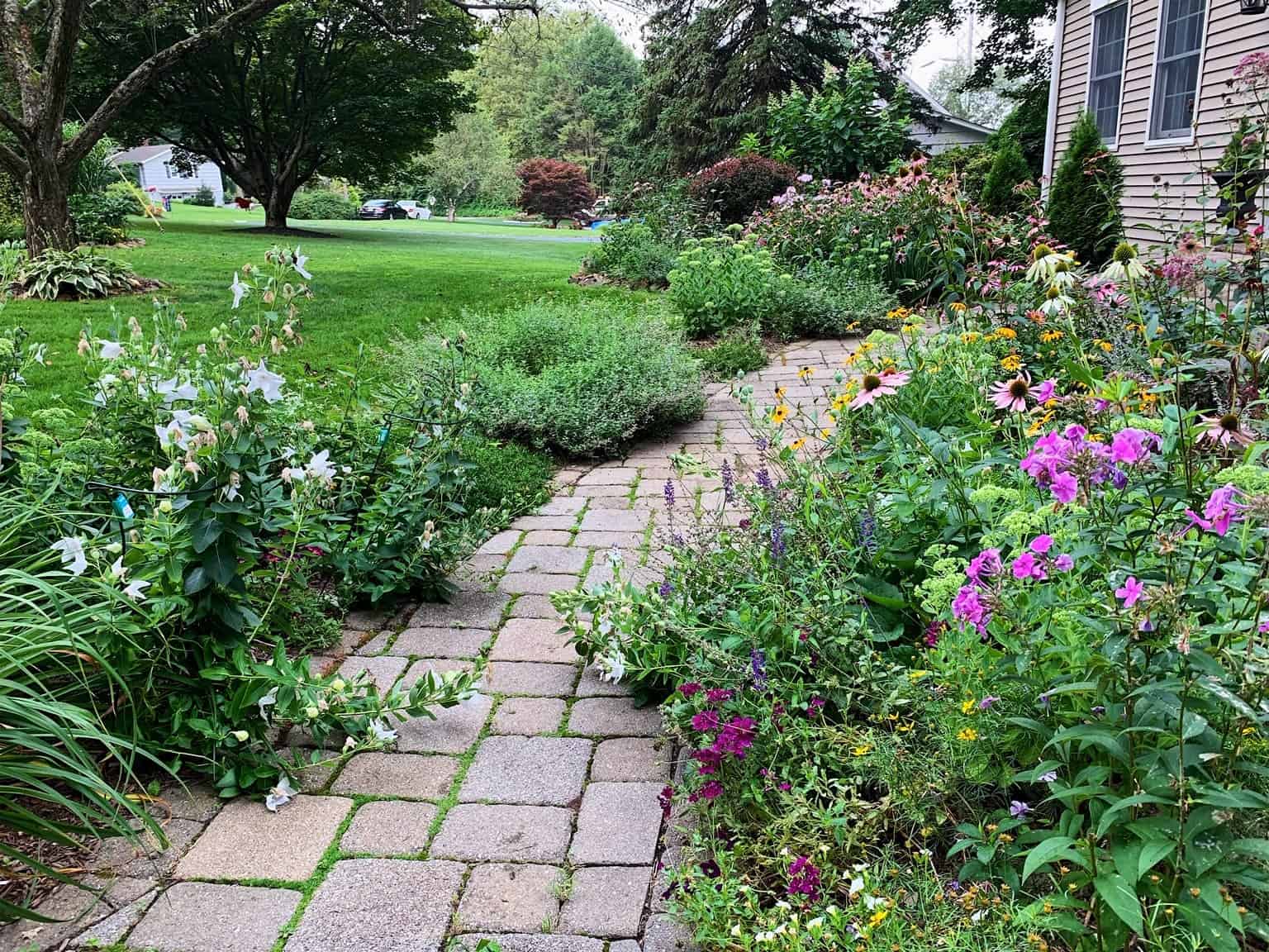 Summer Perennial Garden