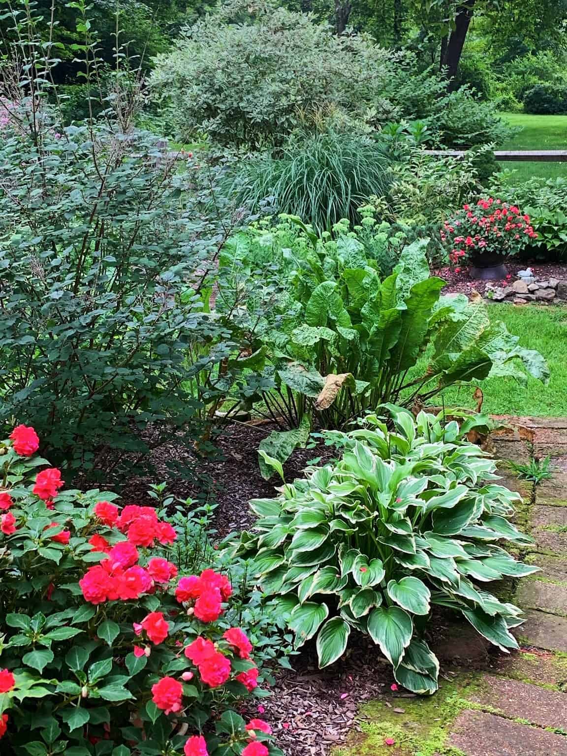 Shade Garden Ideas