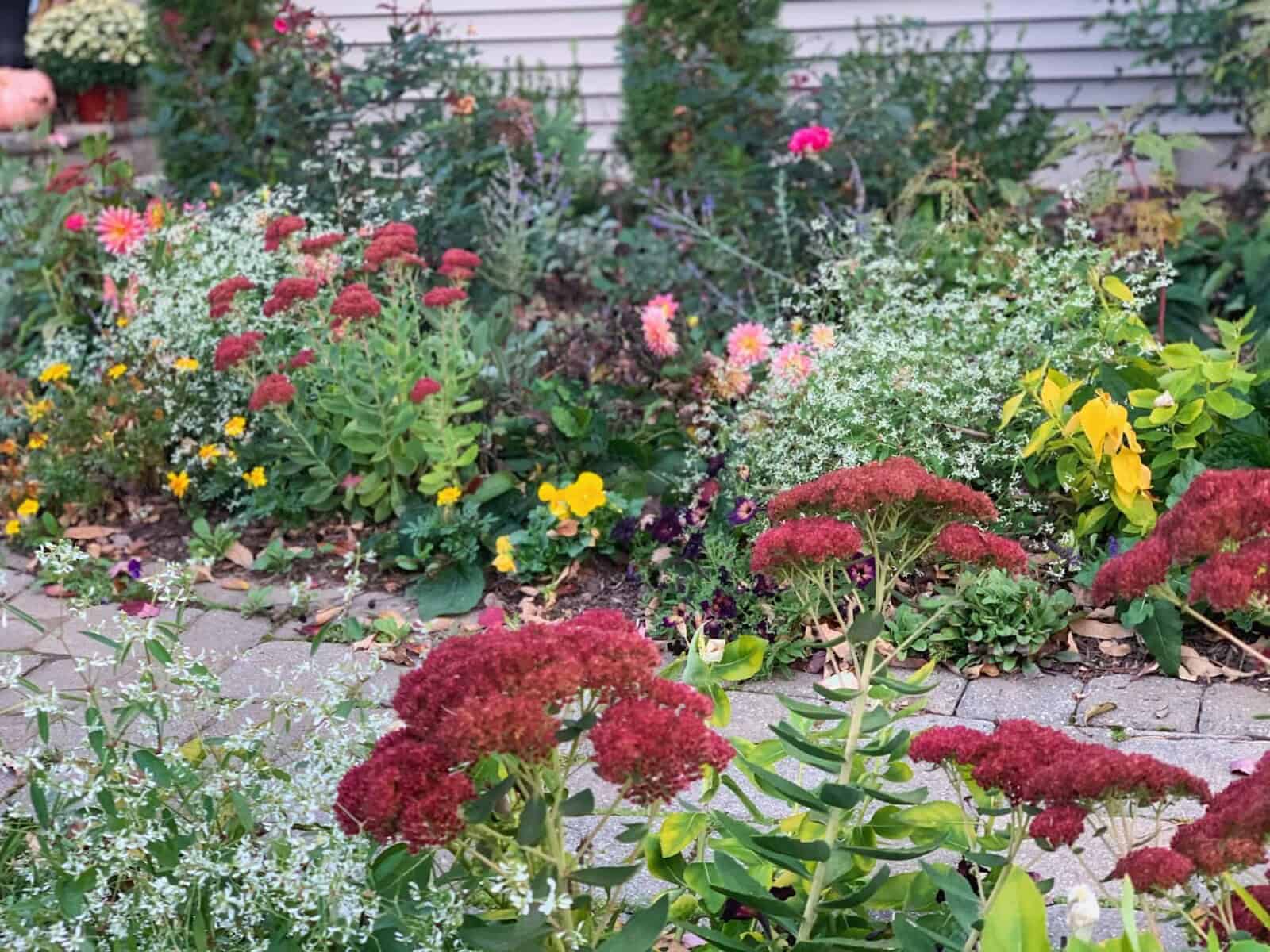 Early Fall Garden Tour 2019 – From My Previous Home (Zone 6B) | Bricks ...