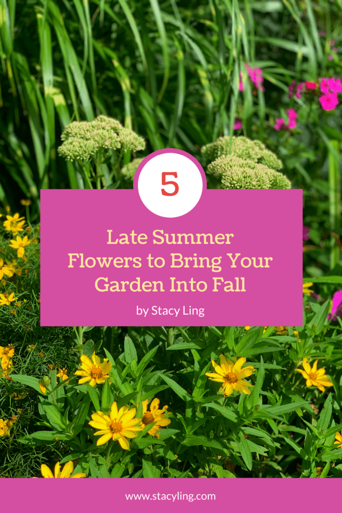 10 Late Summer Blooming Flowers That Grow Into Fall | Stacy Ling