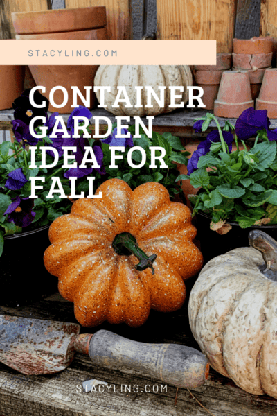 Vibrant Fall Container Garden: A Recipe for Colorful Autumn Blooms ...