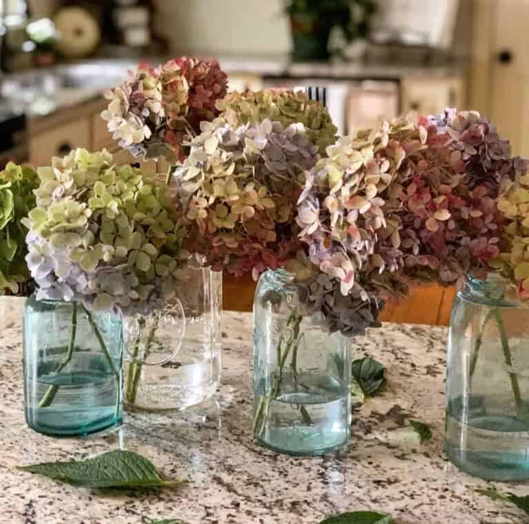 How to Dry Hydrangeas Perfectly: 4 Foolproof Methods - Bricks ’n Blooms ...