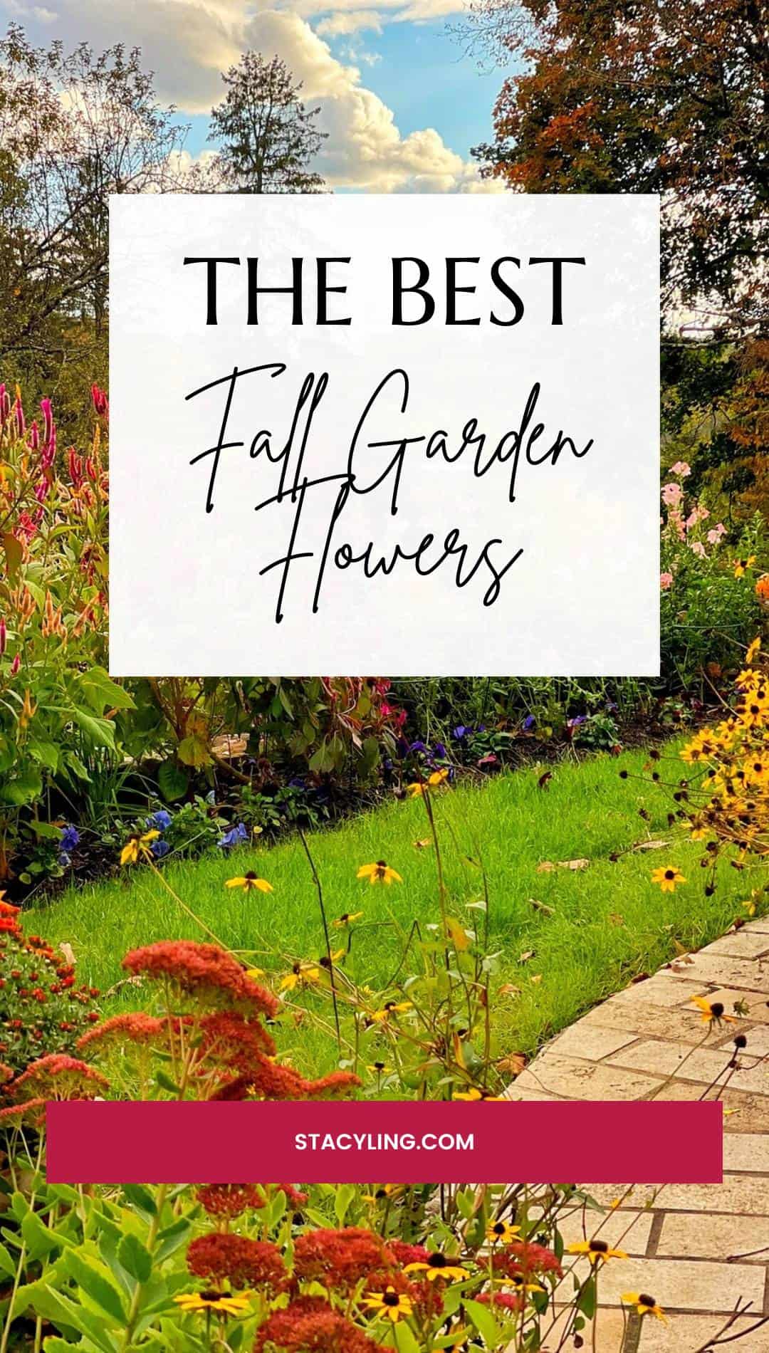 https://stacyling.com/wp-content/uploads/2020/10/The-Best-Fall-Garden-Flowers-1.jpg