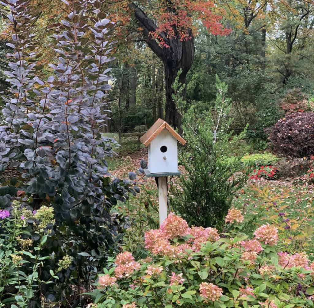 How to Build a Birdhouse