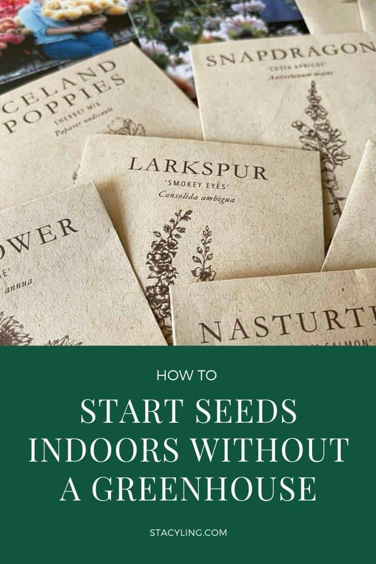 When To Start Seeds Indoors (Easy Printable Sowing Plan)