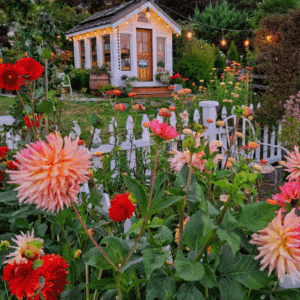 A Seasonal Summer PNW Cottage and Cut Flower Garden Tour - Shiplap and  Shells