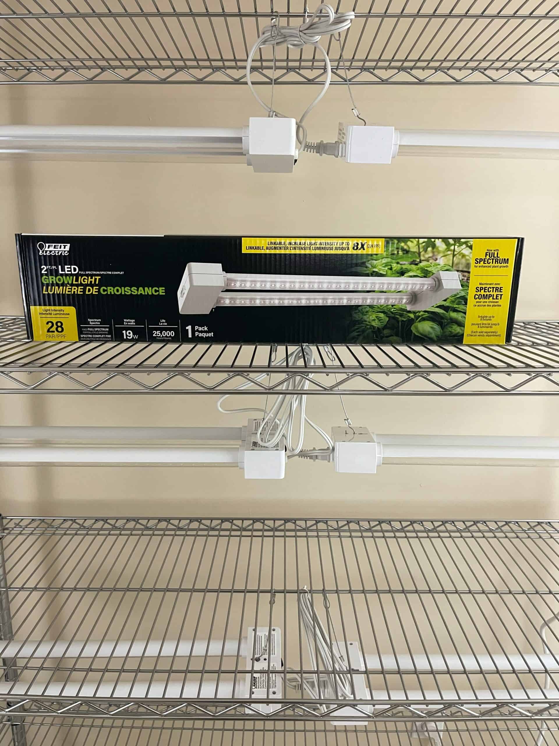 How to Start Seeds Indoors Without a Greenhouse - The Supplies