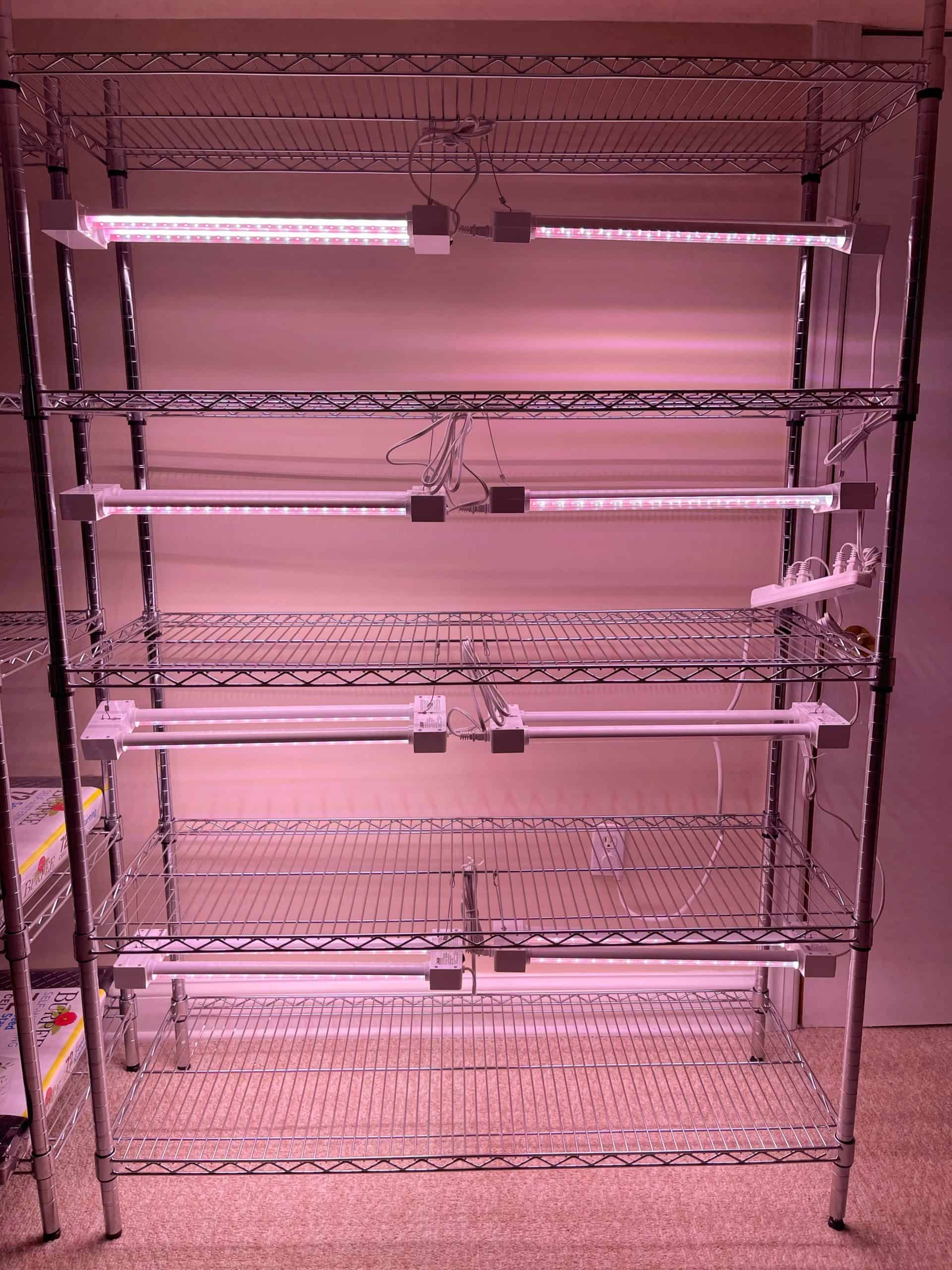 How to Start Seeds Indoors Without a Greenhouse - The Supplies