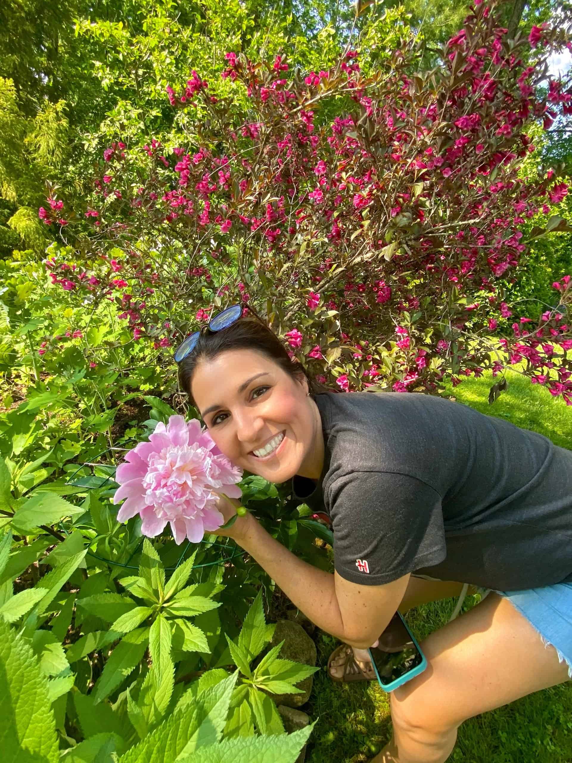 How to Dry Hydrangea Flowers - Stacy Ling