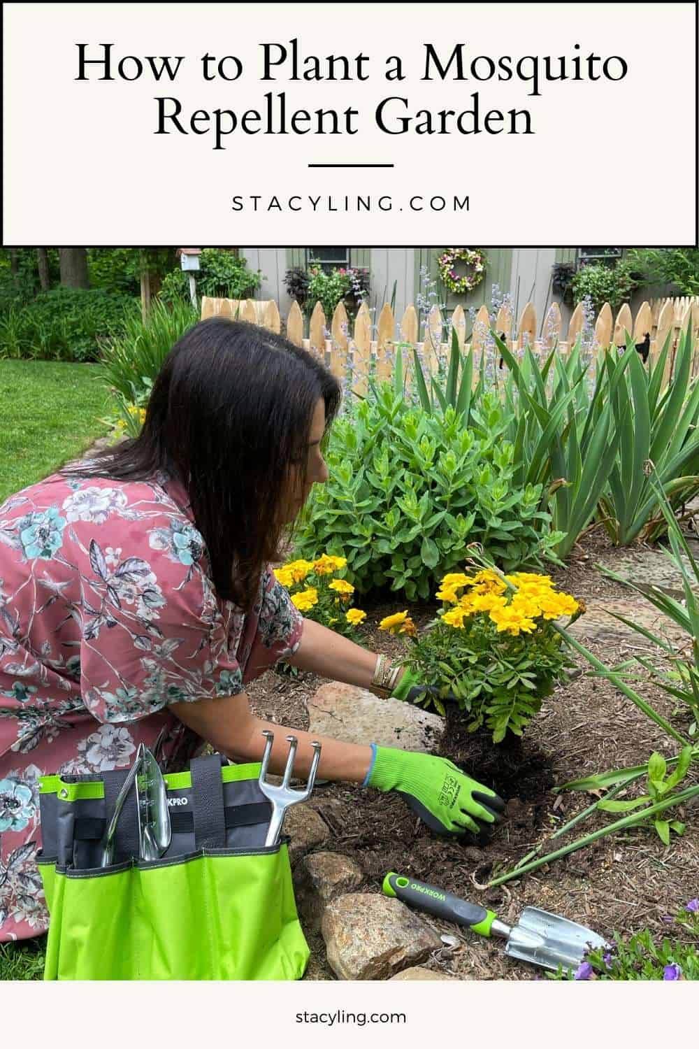 How to Plant a Mosquito Repellent Garden - Stacy Ling