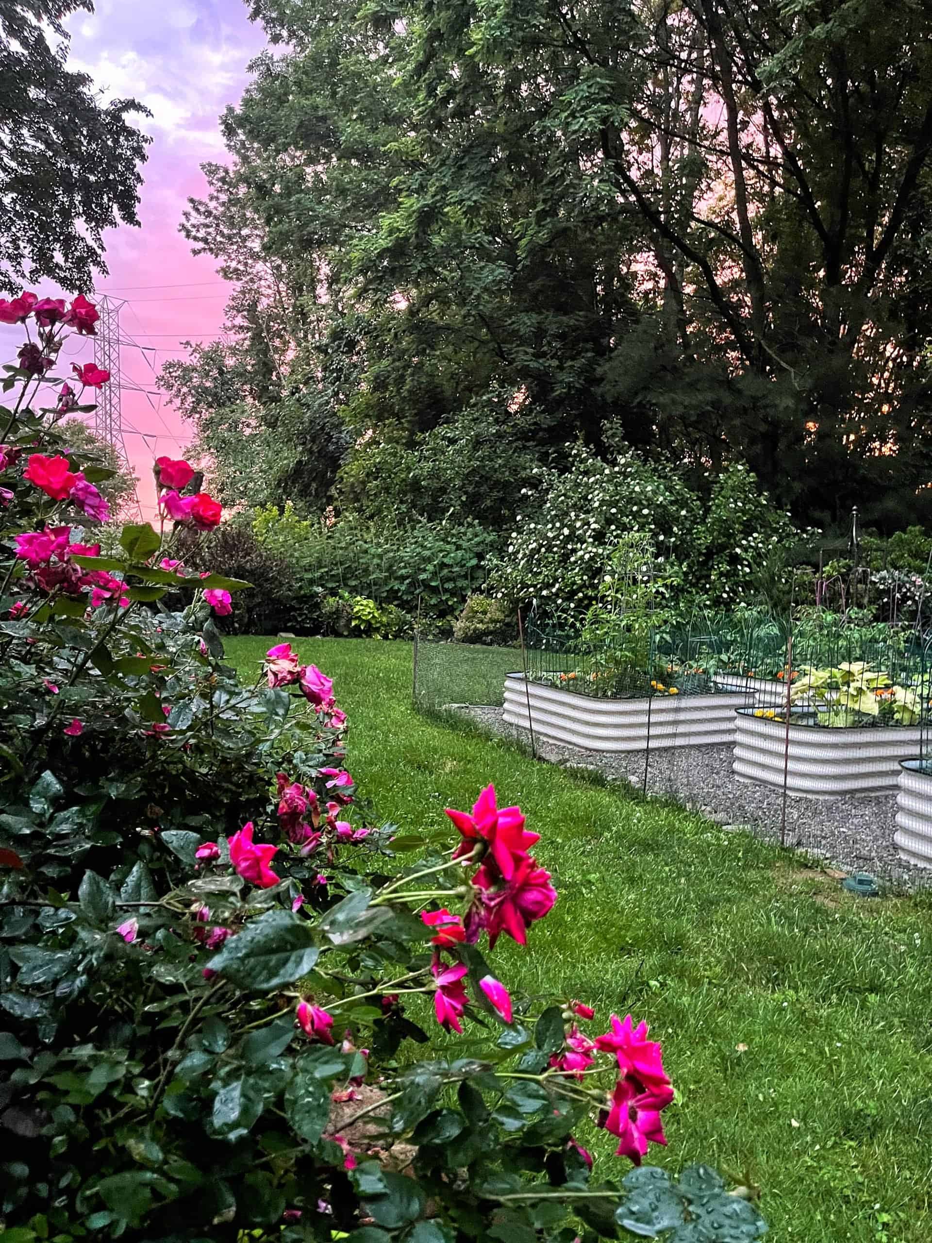 How to Create a Relaxing Backyard Zen Garden - Stacy Ling