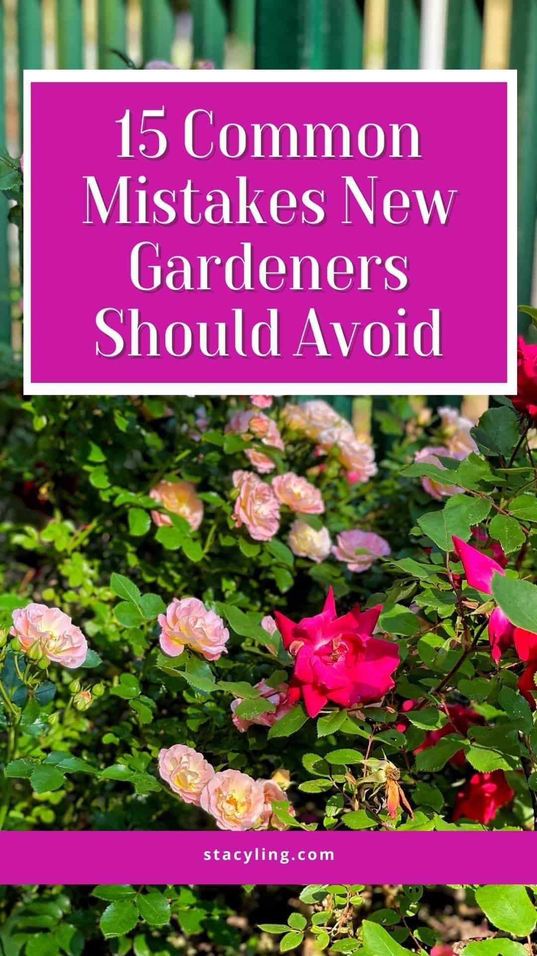 10 Gardening Mistakes to Avoid at All Costs, Architectural Digest