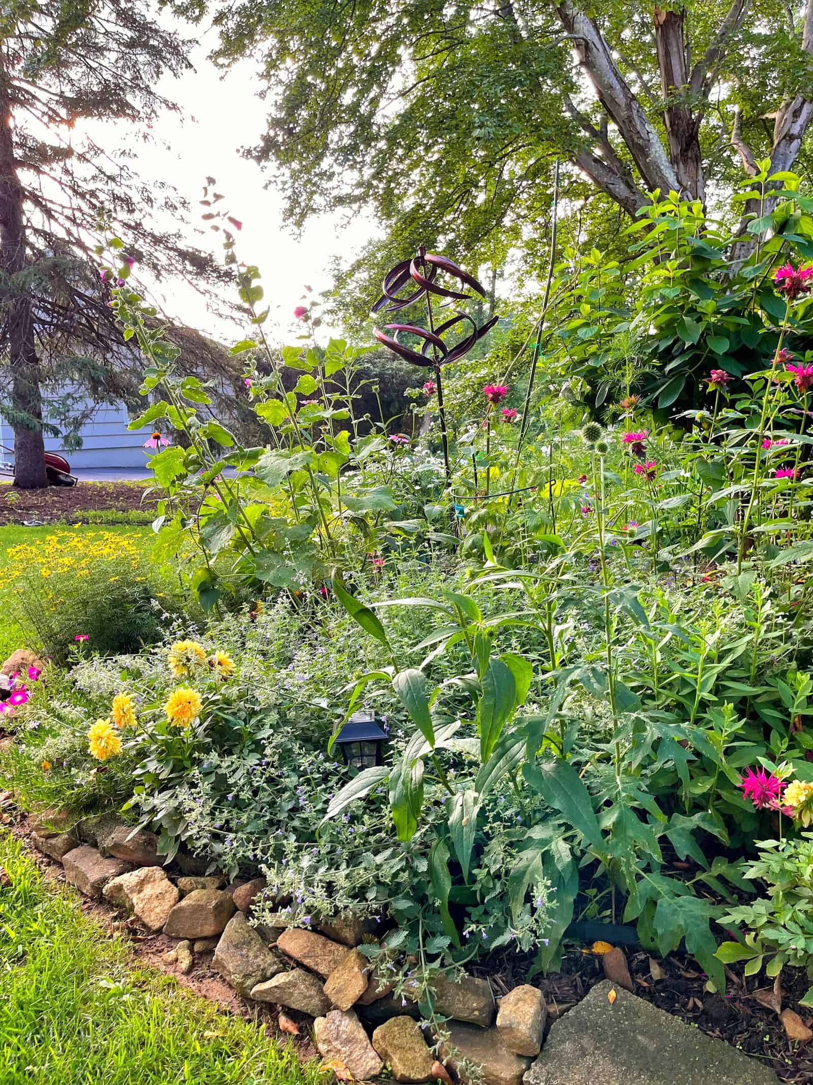 A lush cottage garden bed with colorful flowers like bee balm and green foliage, bordered by a row of rocks, sits under large, leafy trees. Sunlight filters through the branches, creating a peaceful, vibrant outdoor scene.