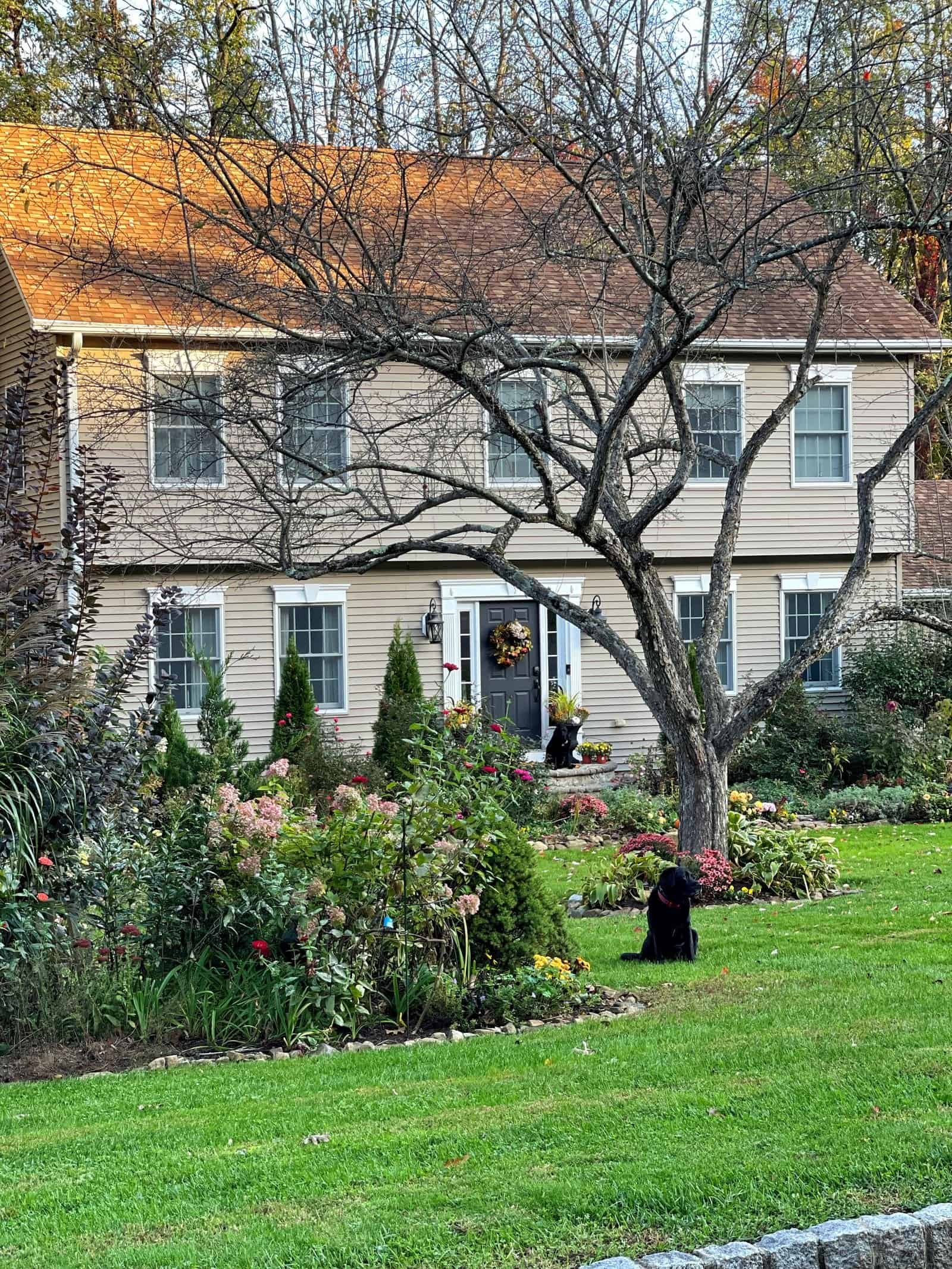 fall/ winter garden brainstorming and update on the front yard garden.