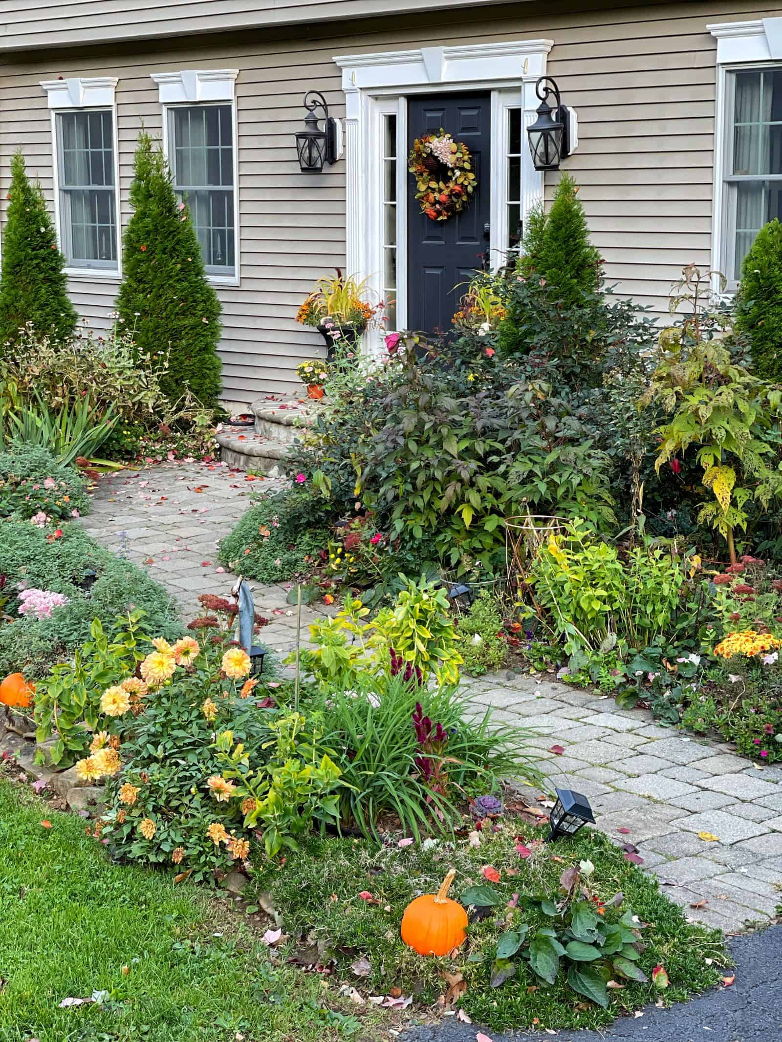 fall/ winter garden brainstorming and update on the front yard garden.