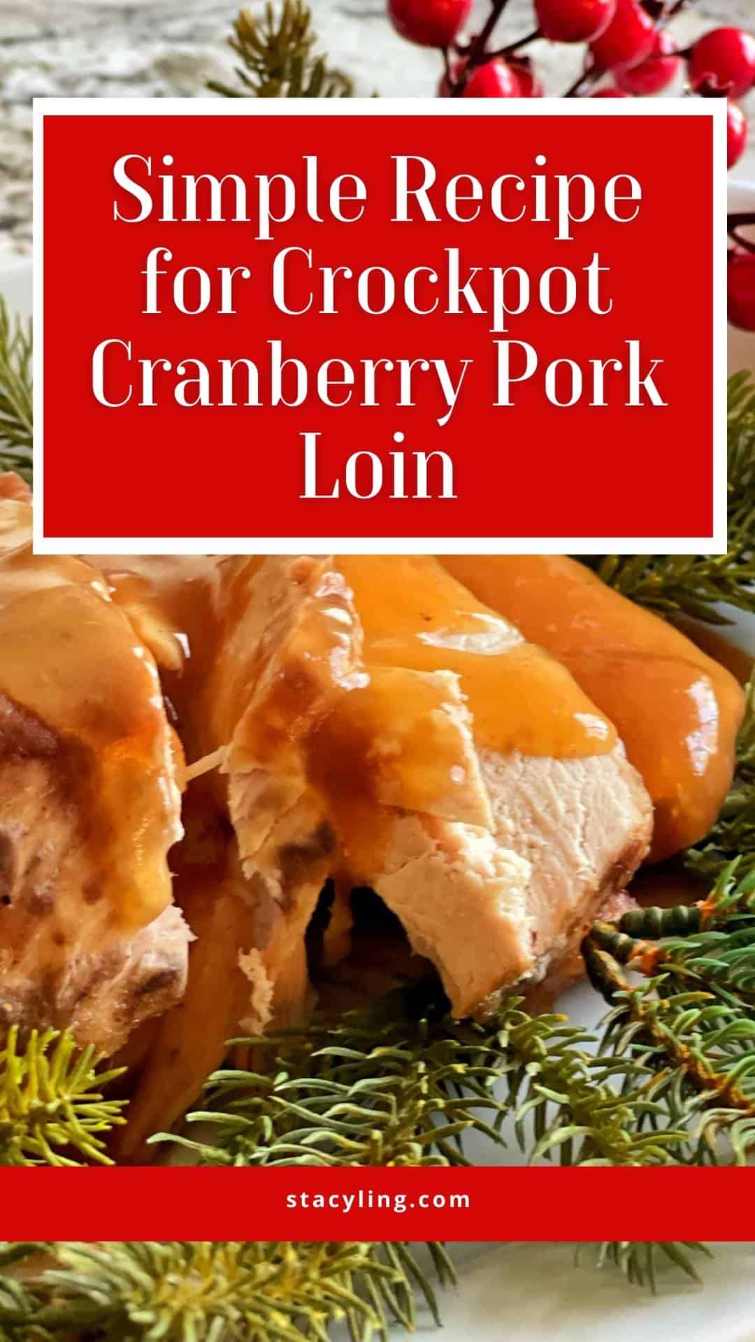 cranberry pork slow cooker