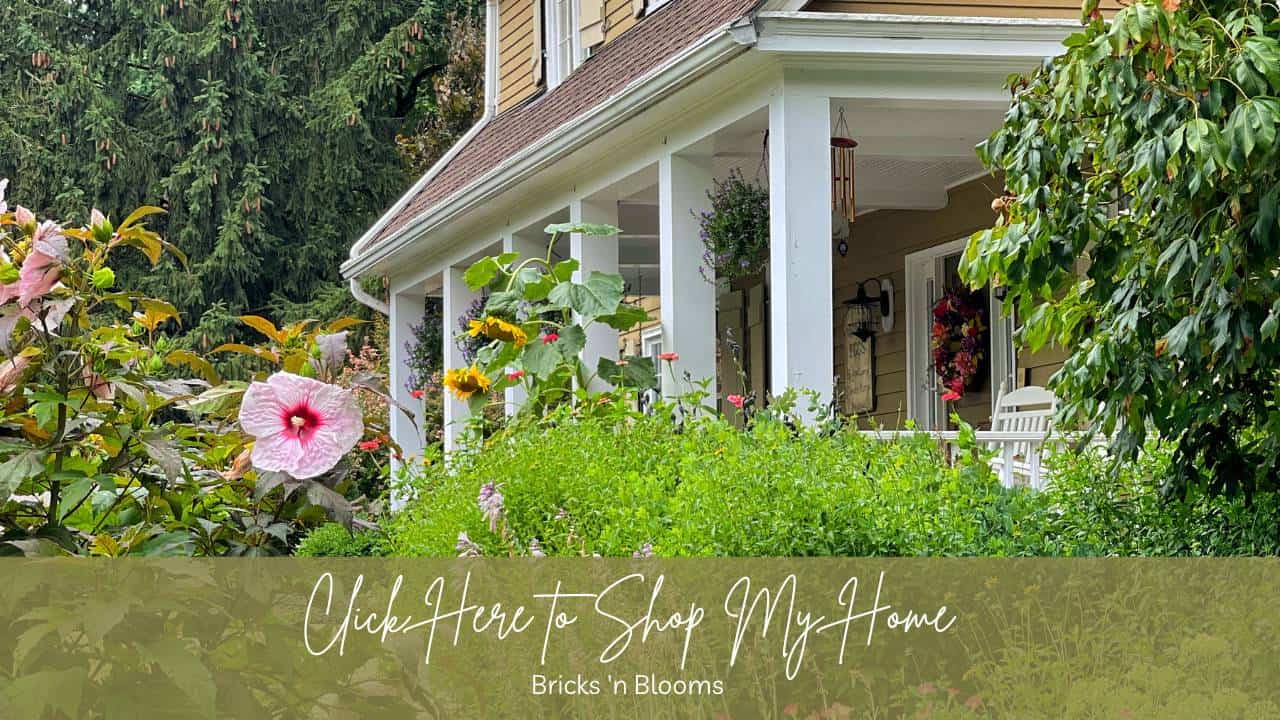 Click here to shop my vintage farmhouse with close up of the front porch with flowers