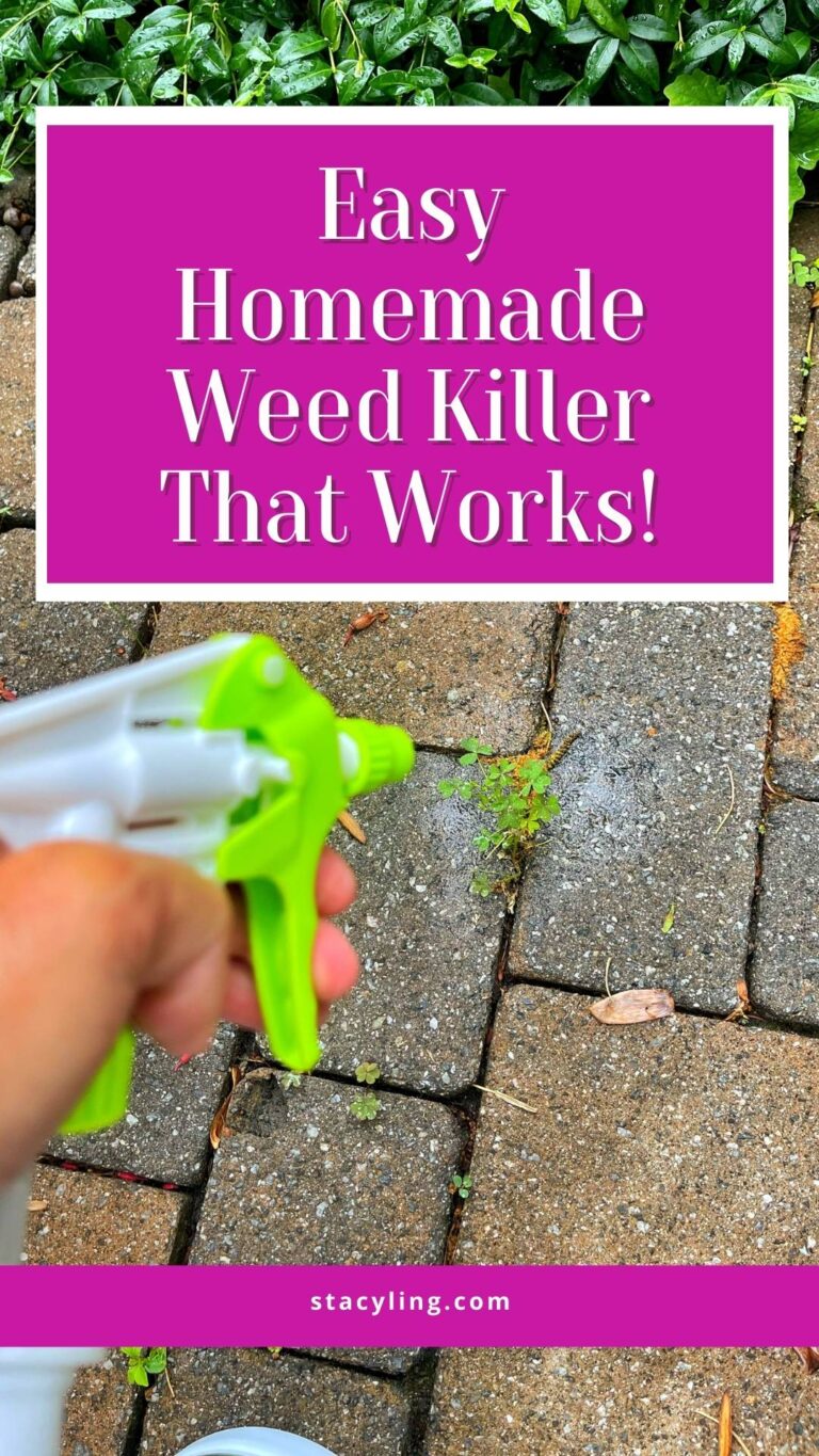 Simple Recipe for Homemade Weed Killer That Works - Stacy Ling