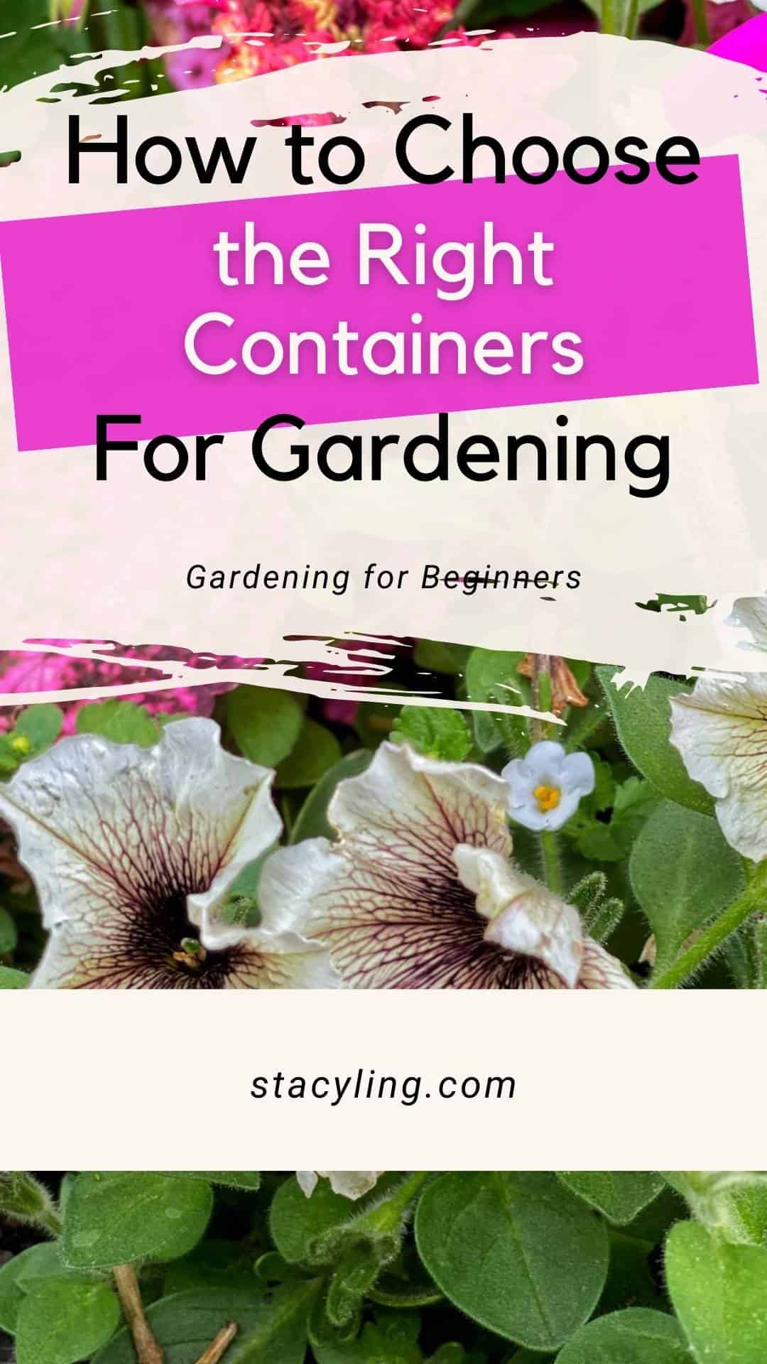 Tips on Choosing the Right Container