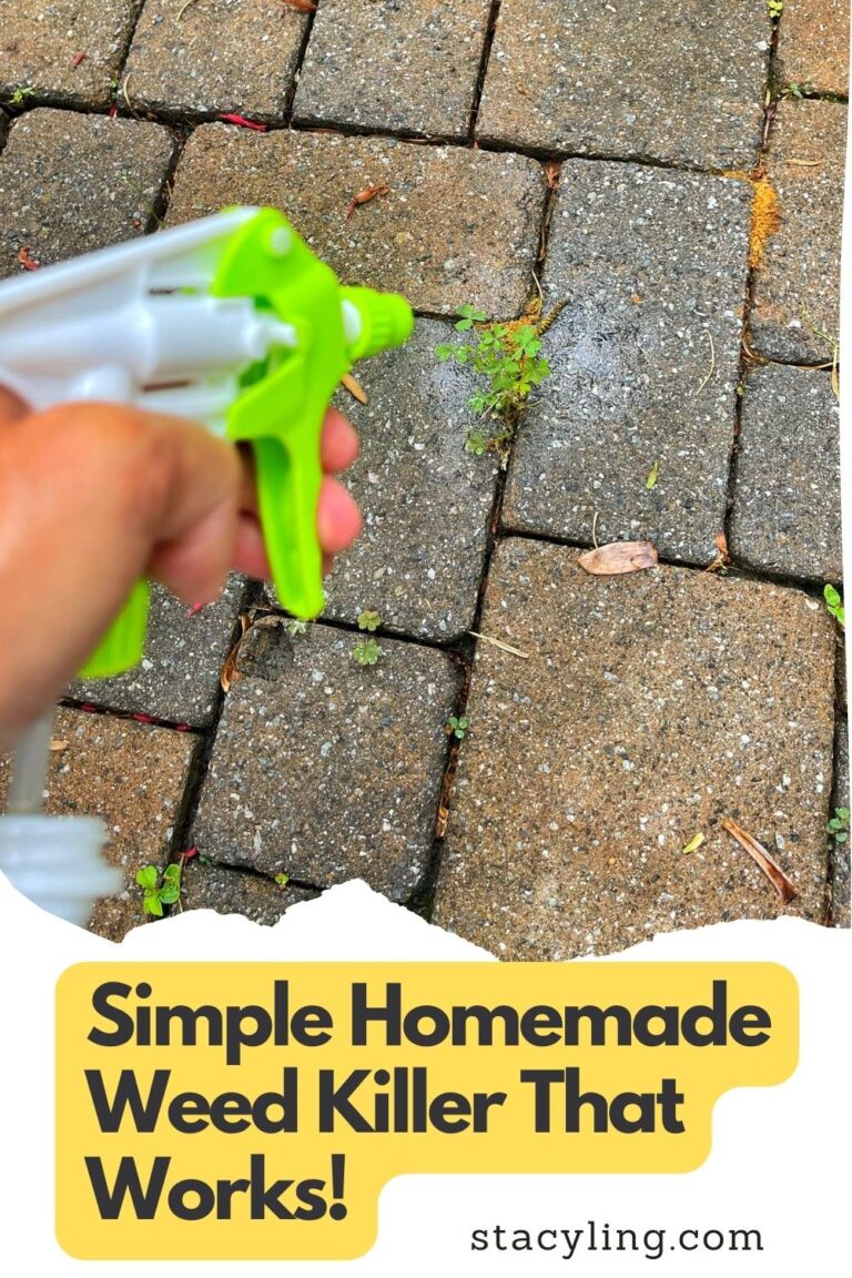 Simple Recipe for Homemade Weed Killer That Works - Stacy Ling