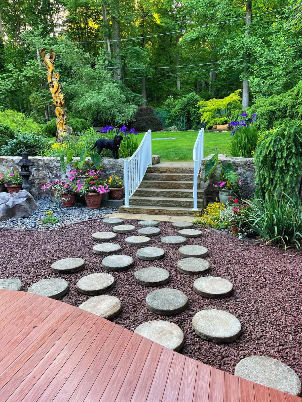 Zen garden with round concrete pavers, stairs with white railing that leads to container gardens fill with pink supertunia 'bubblegum pink' petunias and the backyard garden with black labrador retriever standing on stone wall with koi tree sculpture in the background