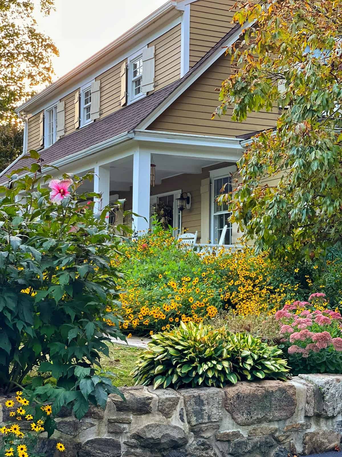 Fall garden in front of vintage farmhouse with rudbeckia, hostas, sedum autumn joy and hardy hibiscus on a sunny day