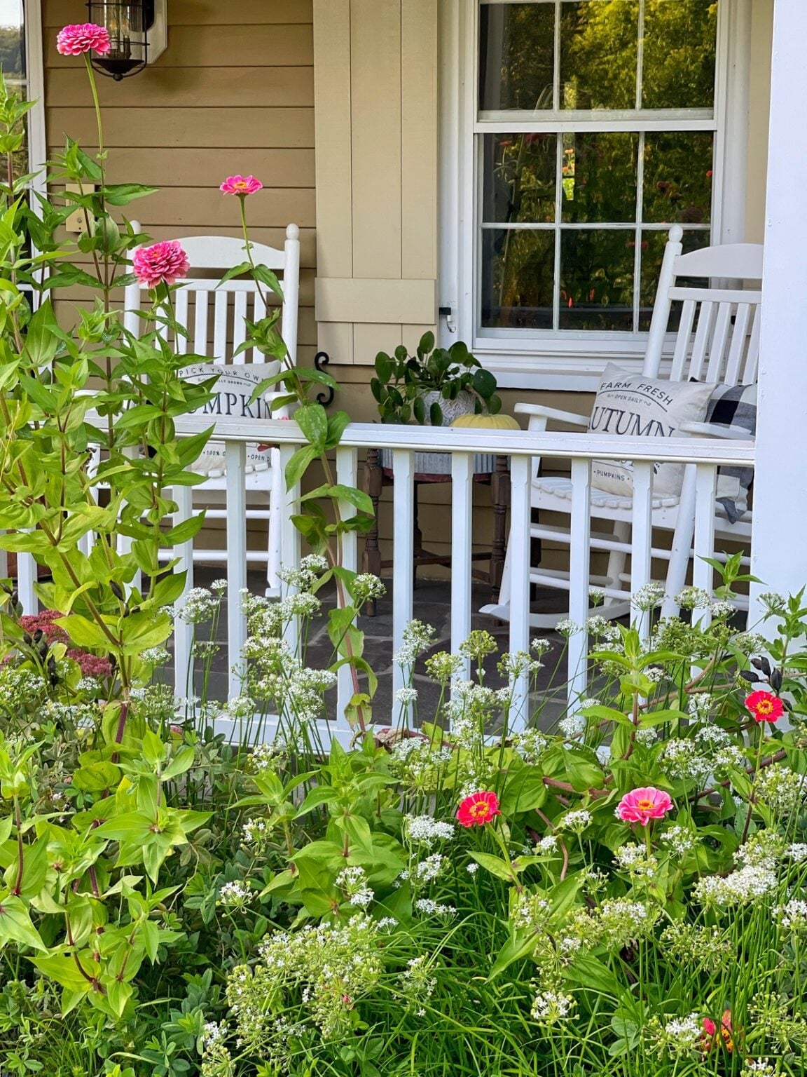 12 Budget-Friendly Plant-Filled Porch Ideas for Garden Lovers (Small ...
