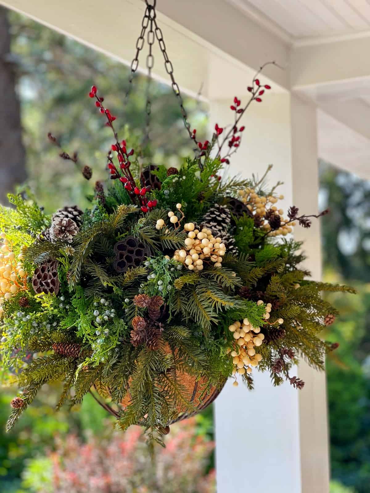 hanging basket of winter greens on the porch