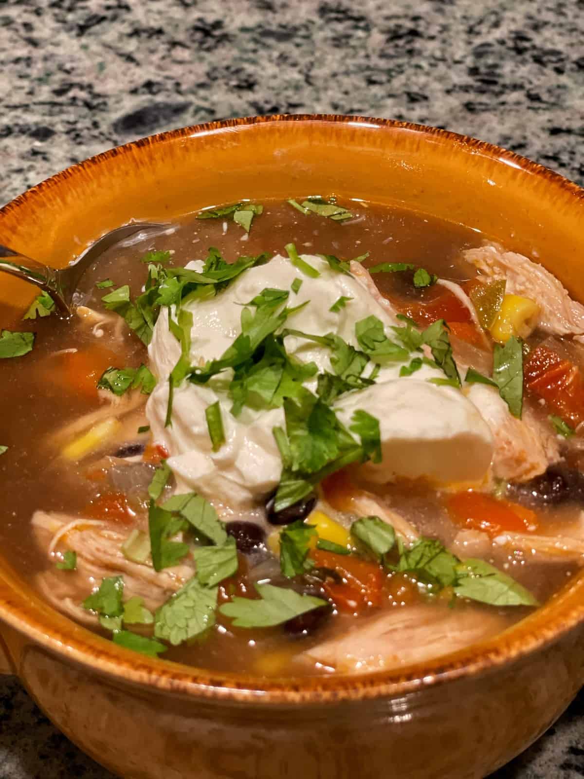 Chicken Tortilla Soup(Slow Cooker and Instant Pot) - Thriving