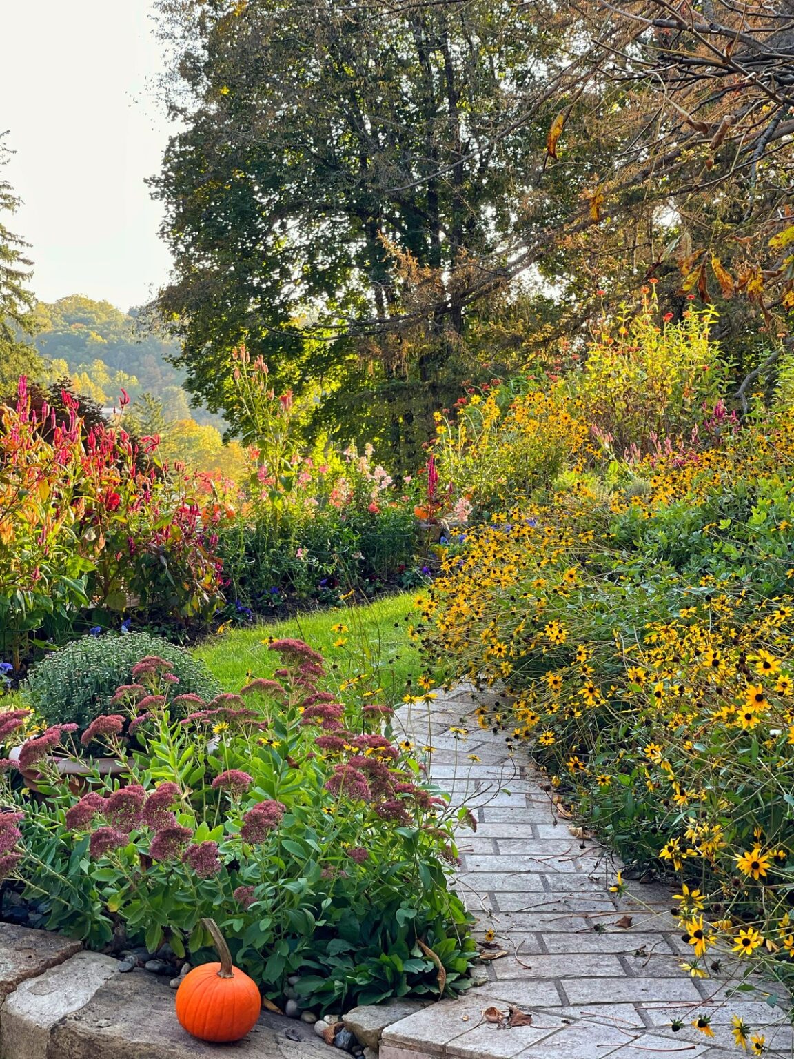 My Fall Garden Tour 2022 (Zone 6B) – Ideas & Inspiration From My Garden ...