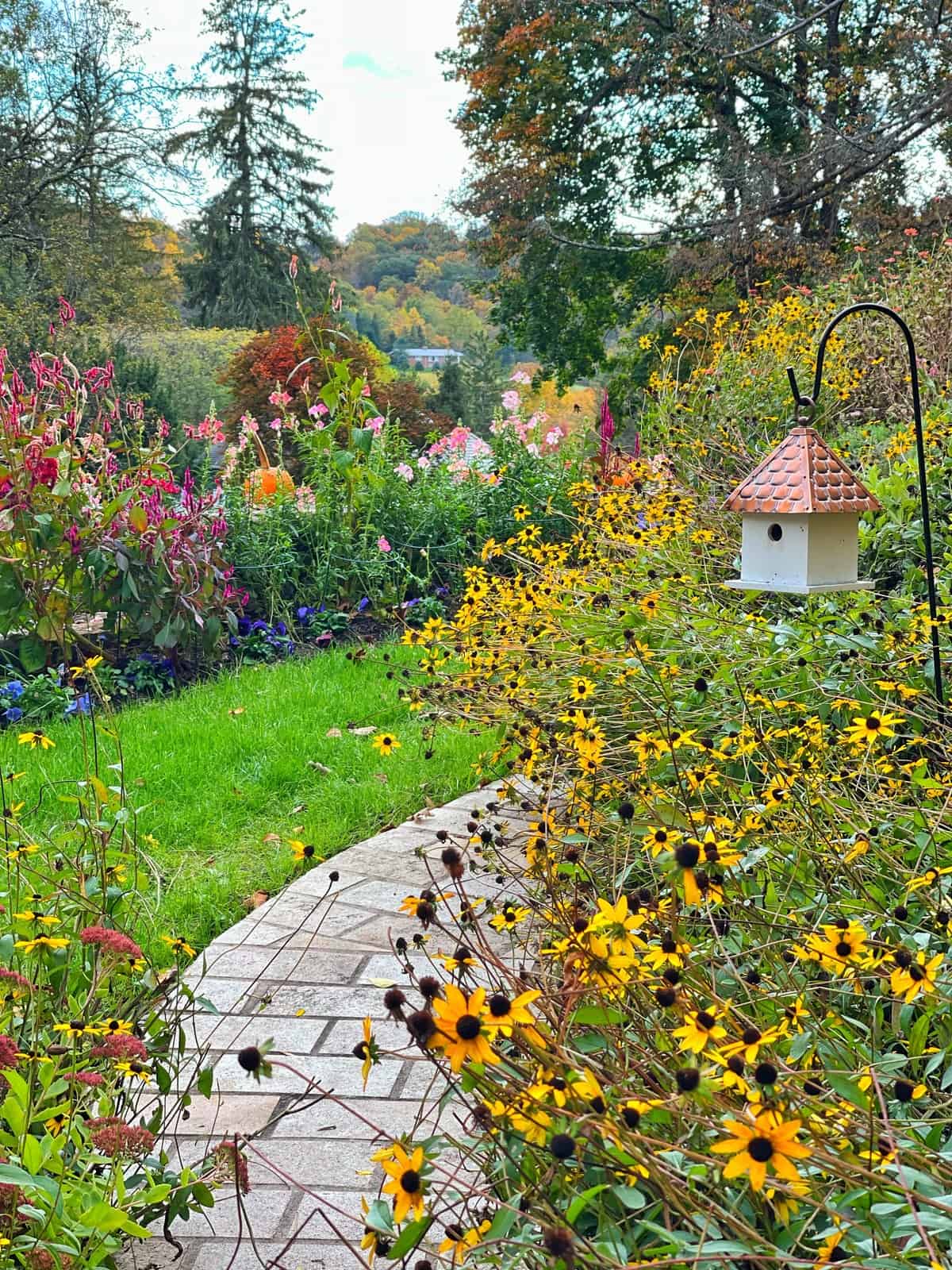 Front yard cottage garden in fall with rubeckia and small birdhouse from Good directions with copper roof