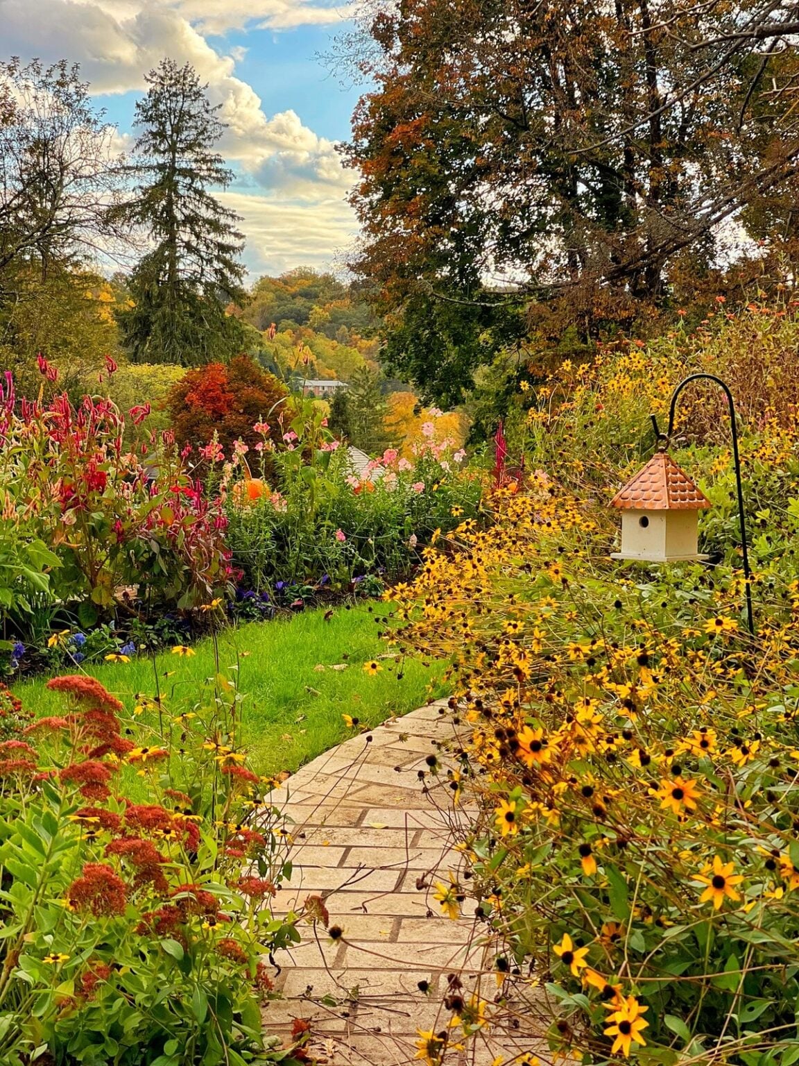 Best Native Plants for a Buzzing Pollinator Garden - Bricks ’n Blooms ...