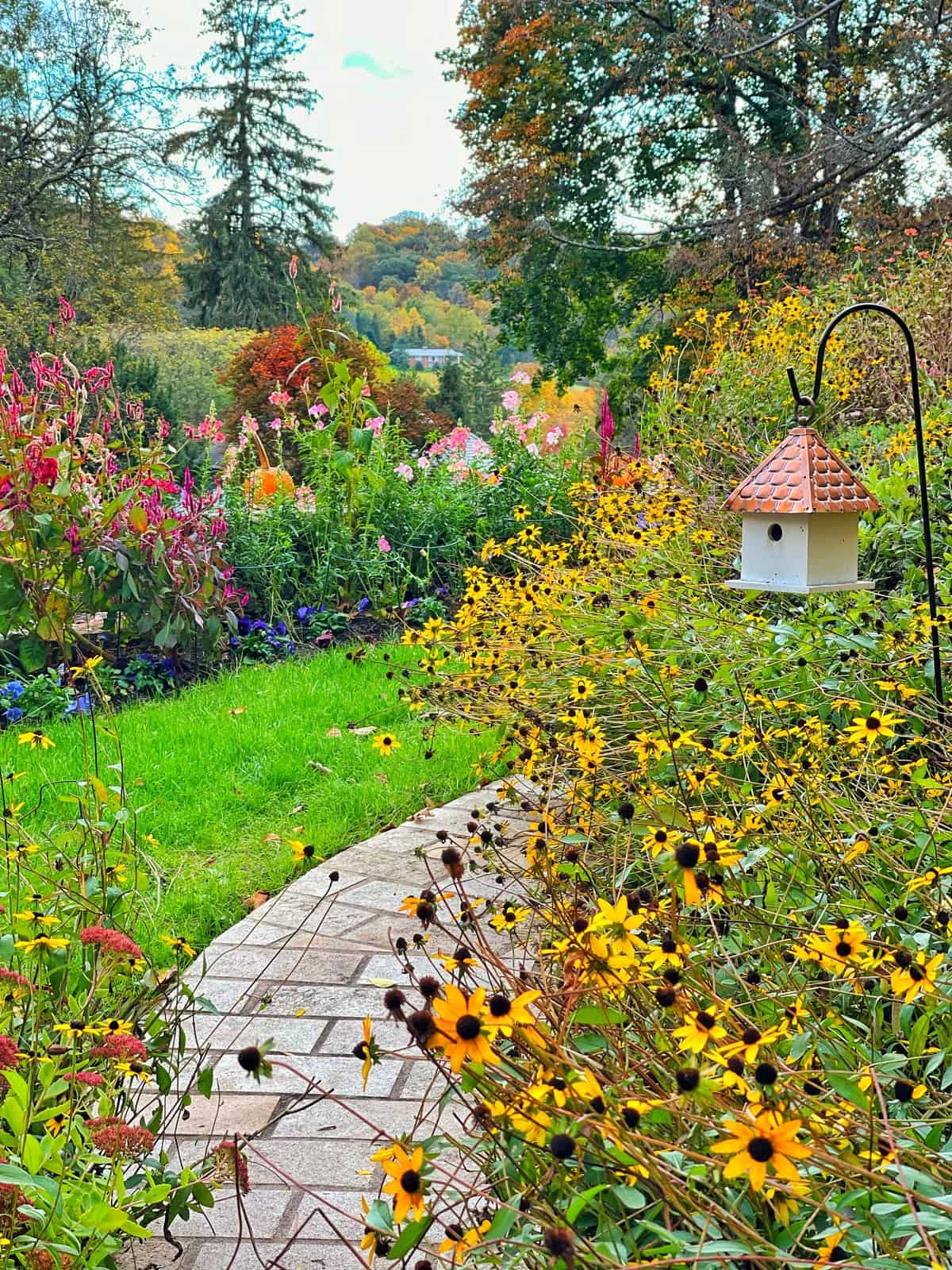 Susan, Garden