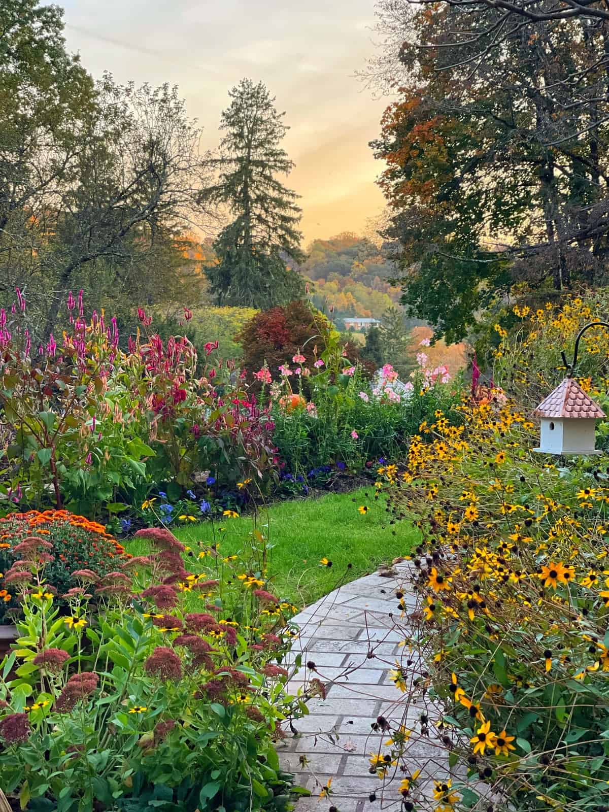 The Ultimate Guide to Planting for a Stunning Fall Garden - Stacy Ling