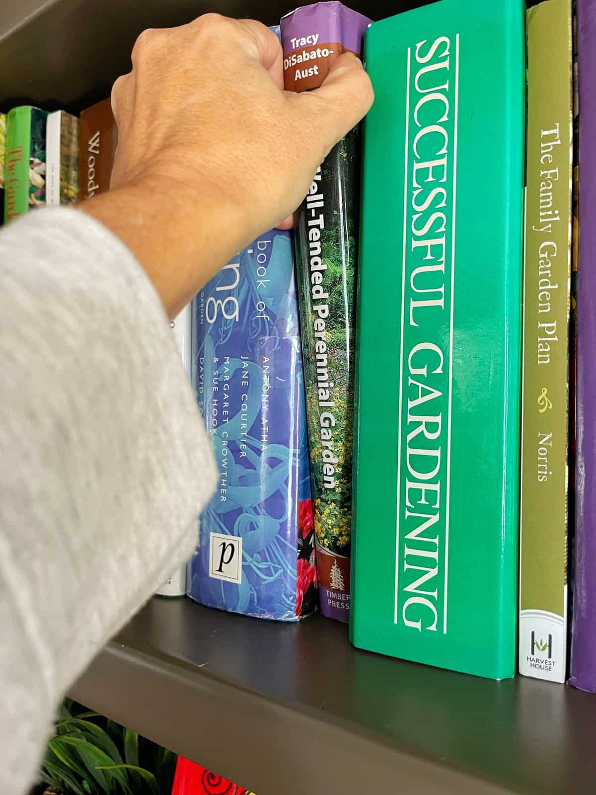 choosing a book for book club off the library shelf