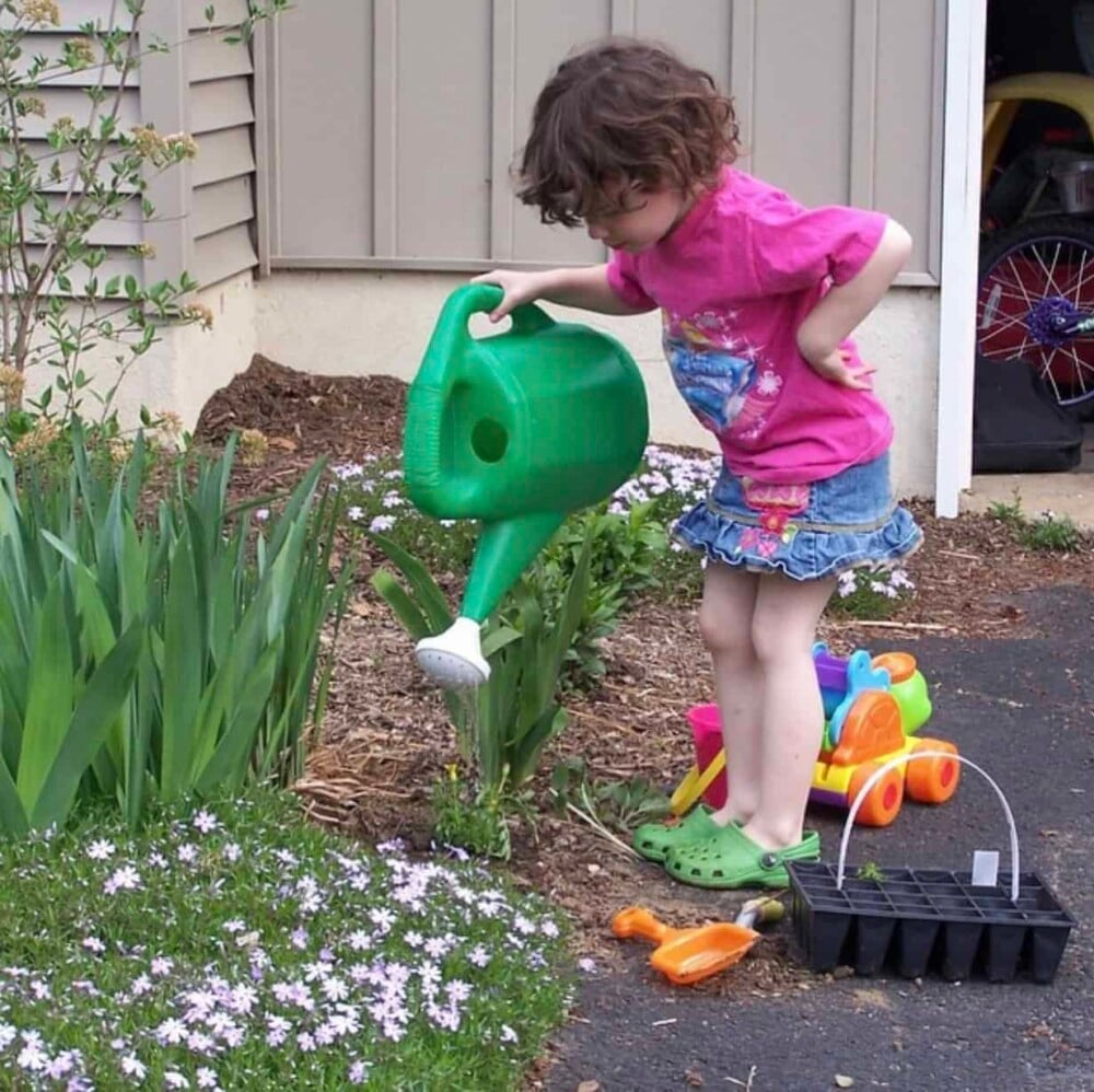 sassy gardener