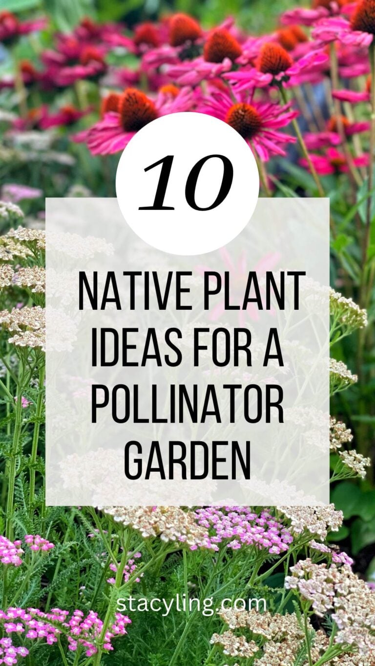 Best Native Plants for a Thriving Pollinator Garden - Bricks 'n Blooms ...