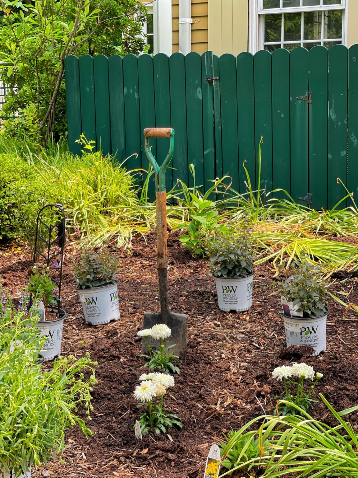 Best Native Plants for a Thriving Pollinator Garden - Bricks 'n Blooms ...