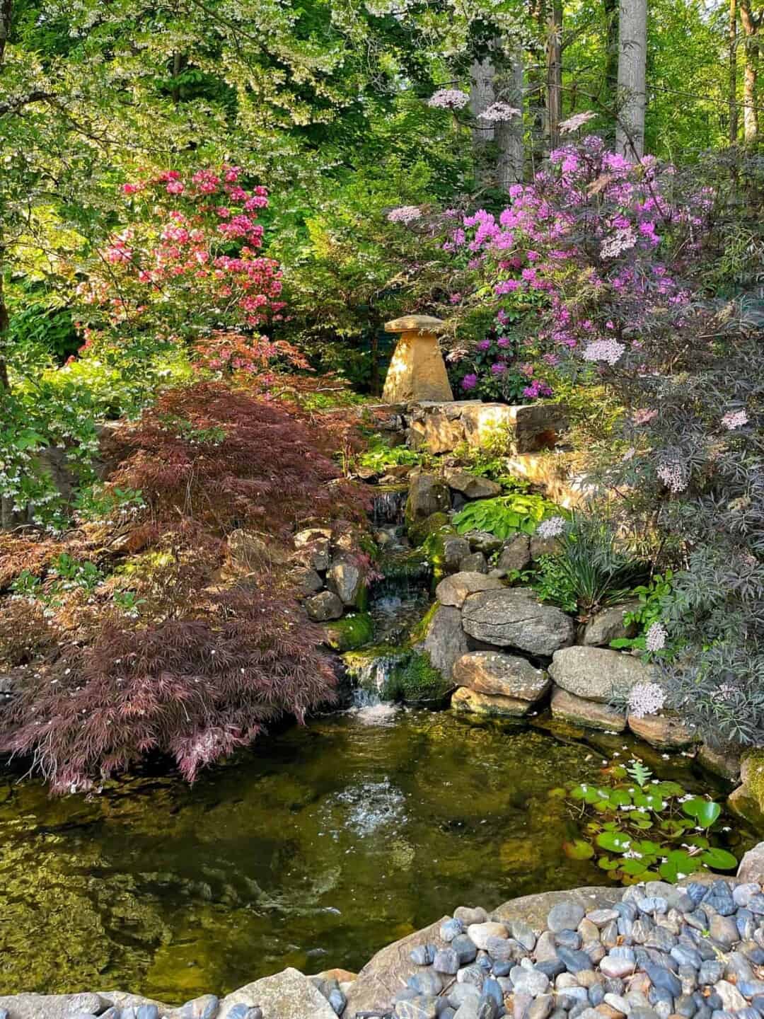 Best Native Plants for a Buzzing Pollinator Garden | Bricks ’n Blooms ...