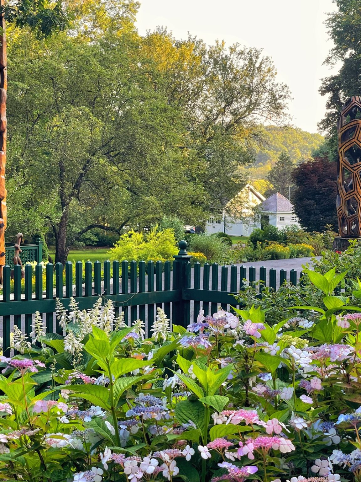 Hydrangea View Fun Types of Hydrangeas: A Complete Guide for Home Gardeners - Bricks ’n ...