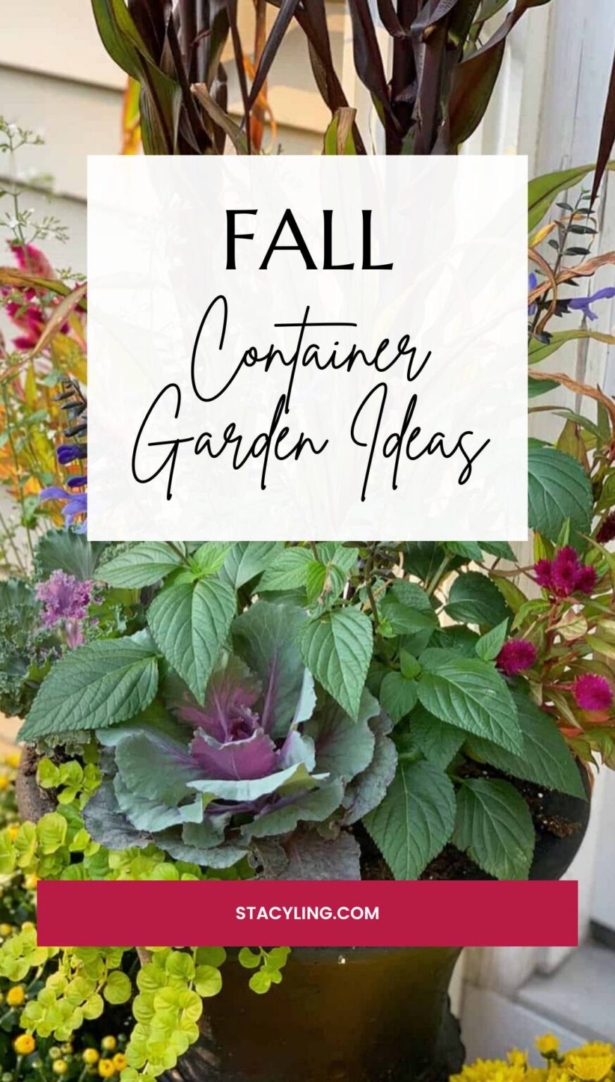 Vibrant Fall Container Garden: A Recipe for Colorful Autumn Blooms ...