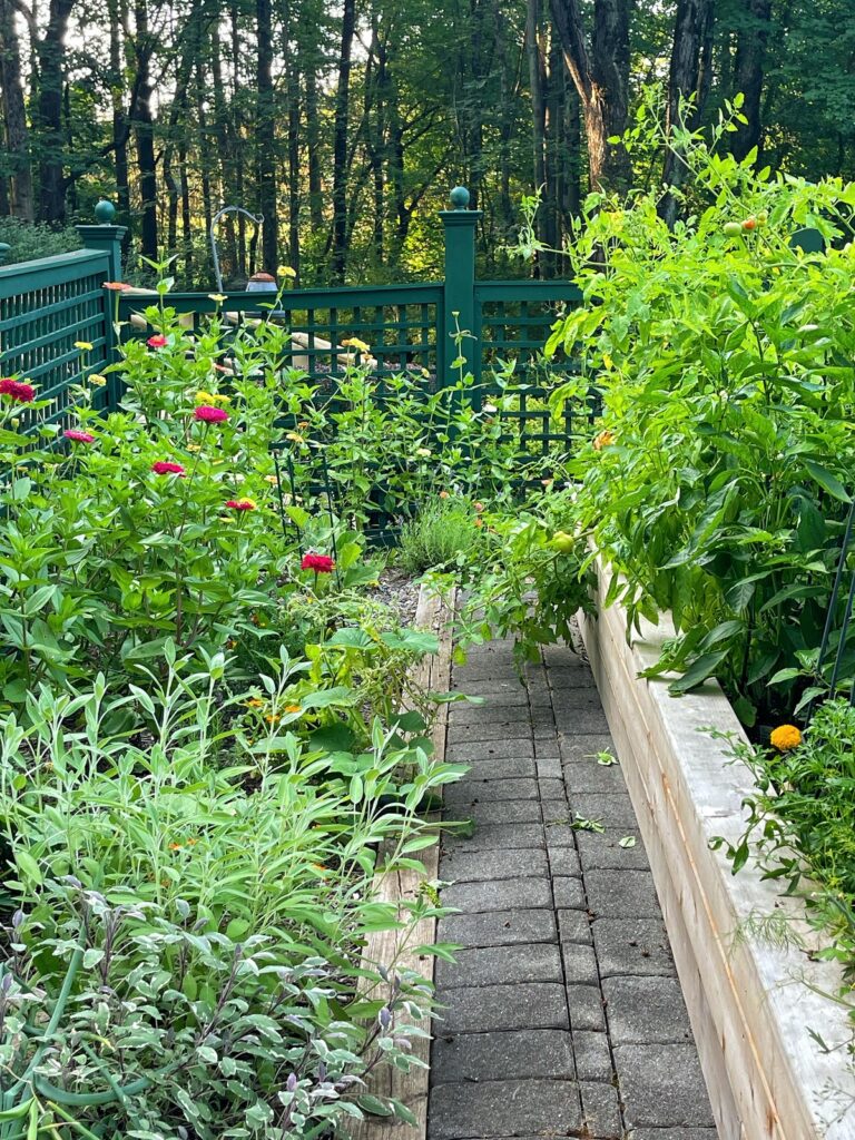 How to Grow an Herb Garden: A Step-by-Step Guide For Beginners | Bricks ...