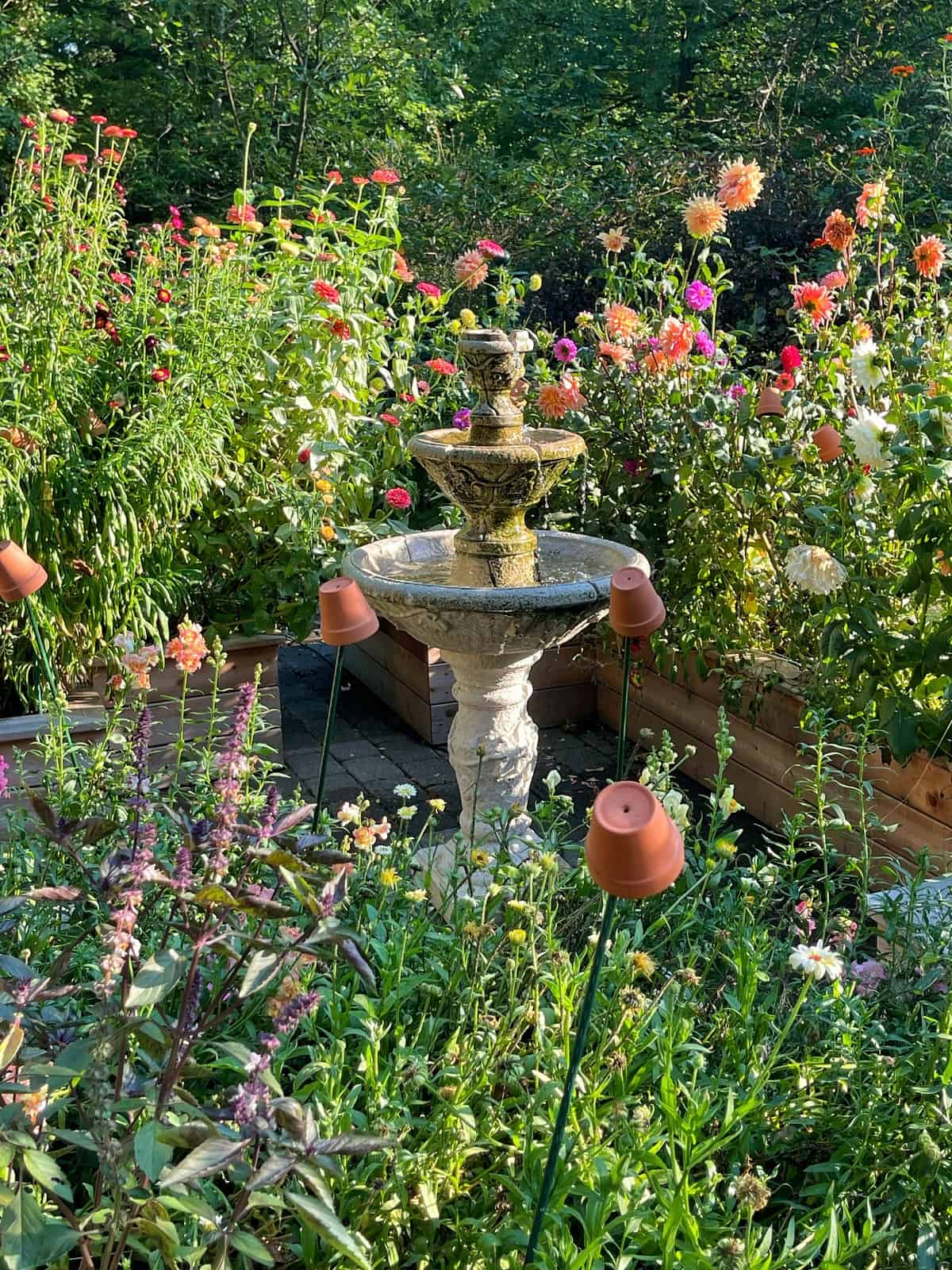 A stone tiered fountain stands in the center of a lush garden filled with colorful flowers and greenery, surrounded by raised beds and small garden lights on stakes&mdash;perfect for a vibrant cut flower garden.