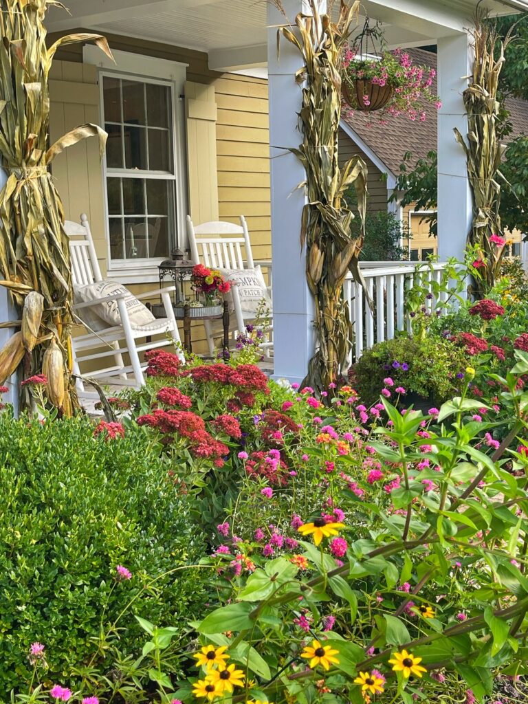 Plant Rocker How to Grow Heuchera Plant: The Complete Guide - Bricks ’n Blooms with ...