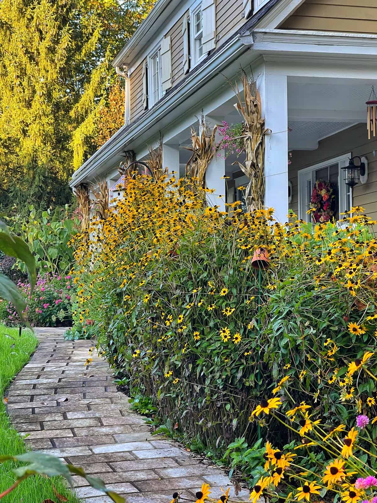 A charming pathway lined with stones leads to a house with yellow flowers and plants blooming along the front, underlined by bright foliage in an inviting garden setting.