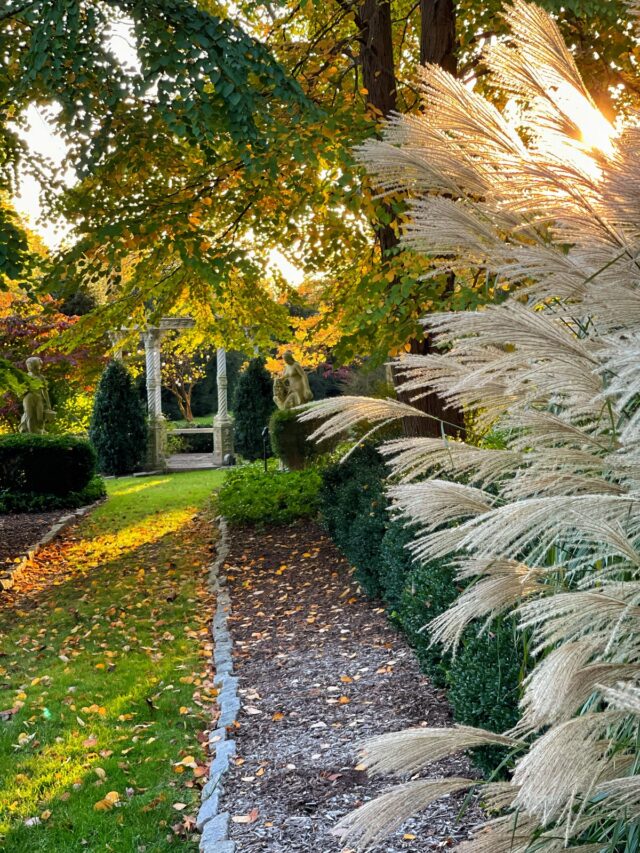 Ignite Your Autumn Landscape: A Guide to the Most Colorful Fall Plants ...
